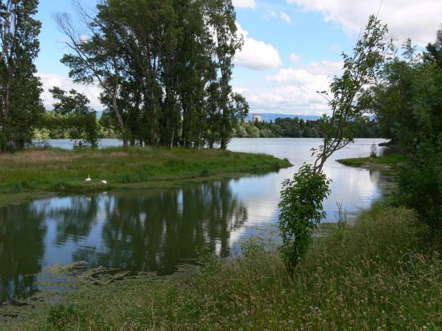 une lône réhabilitée à Guilherand-Granges (Ardèche / France)