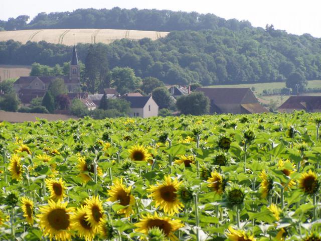 Vue de Chasnay (Nièvre).