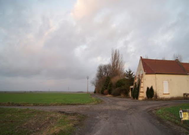 Carrefour de l'arbre de la femme .