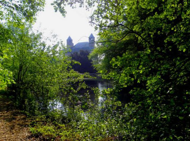 Renescure - Le château de Philippe de Comynes - Ballade dans le sous bois