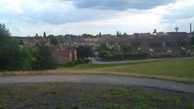 Aniche din haut d'ch terril