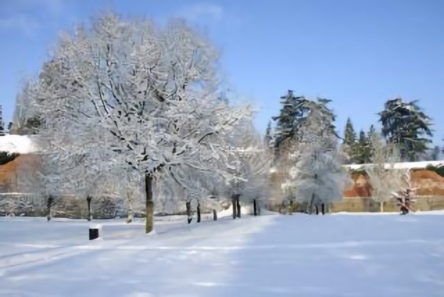 Le Quesnoy - hiver dans les remparts - décembre 2010
