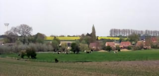 Saulzoir, vue des champs