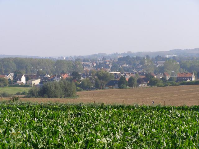 Vue d'ensemble.