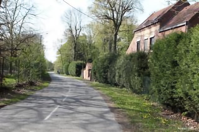 LA FORET DE PHALEMPIN, LA NEUVILLE