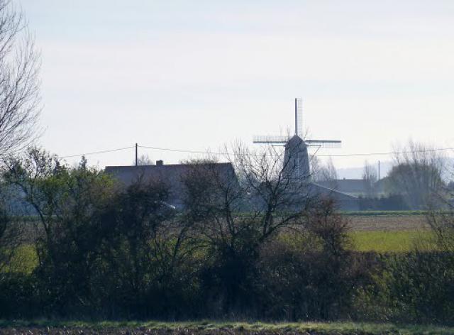 Vers le Ryveld – Steenvoorde :
