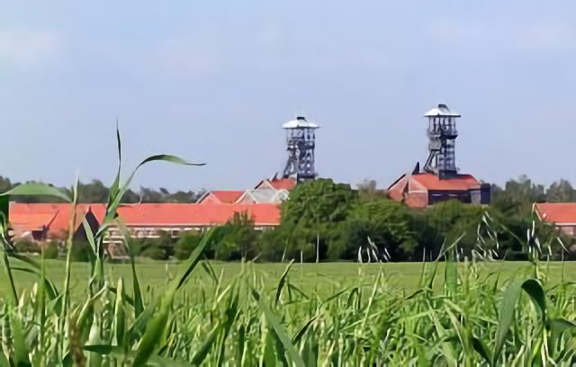 Lewarde . Vue des champs