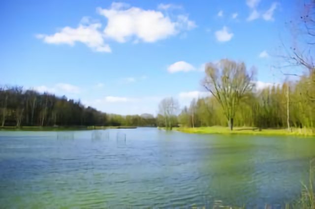 Etang du paradis d'Auby