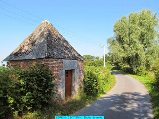 La Vieille Dame (Grand Fayt - France)