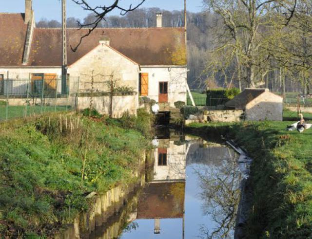 Chelles, le bief du moulin de Vichelles sur le Vandy