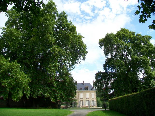 Les deux grandes platanes des années 1830 sur la place du château, que l'on peut apercevoir au fond.