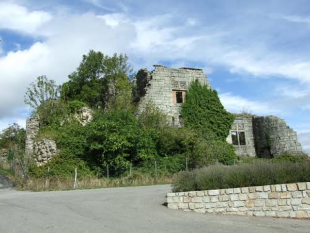 Chasseaux - Ruine