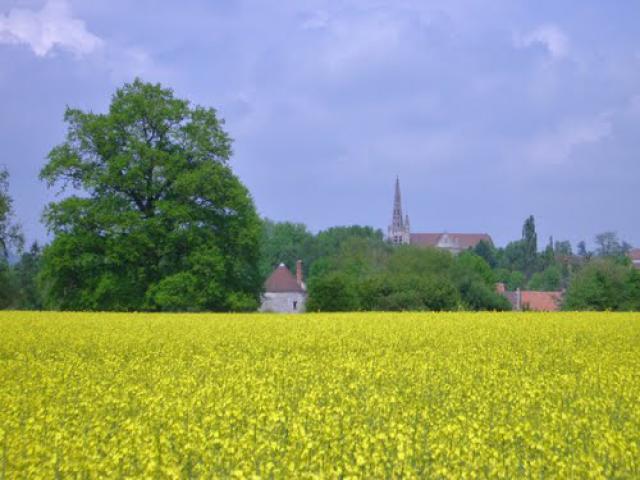 BARON (Oise)