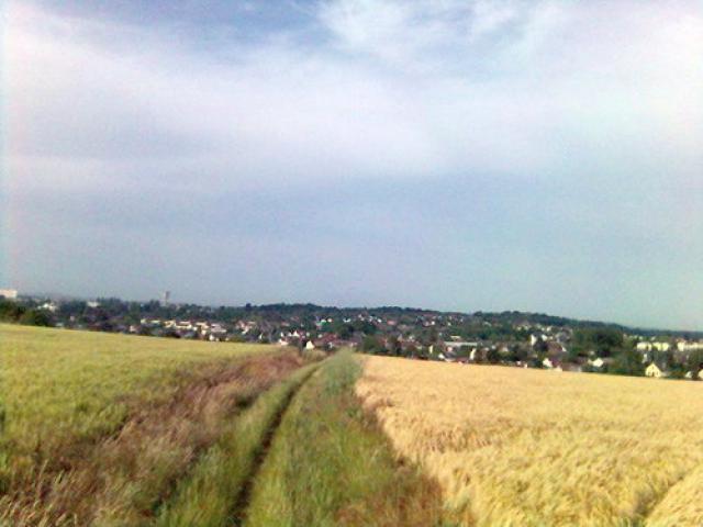 dans les champs , au dessus des Lardières