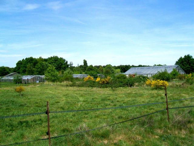 Les serres abandonnées au sud du village, près du chemin rural n° 16 de la Chapelle-en-Serval.