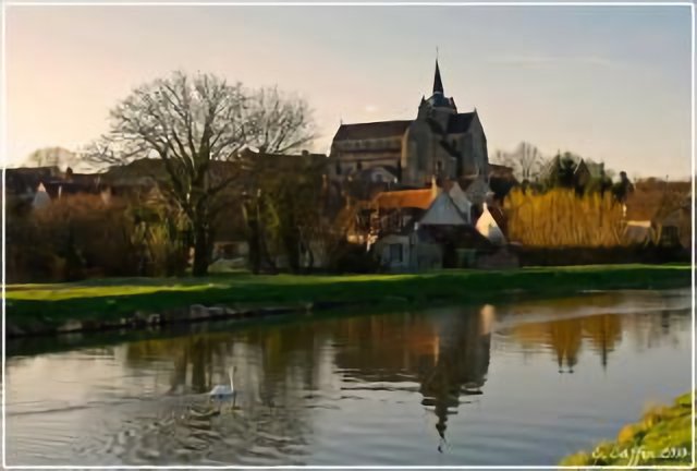 Le cygne de Mareuil sur Ourq