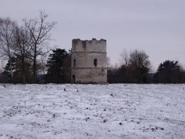 Vestige du moulin d' Elincourt St Marguerite