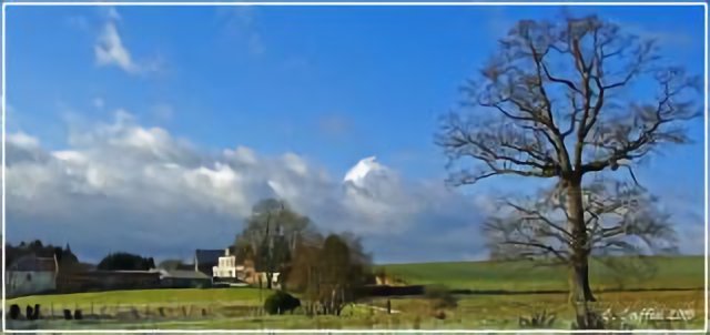 Ferme d'Outrebois, un matin de janvier
