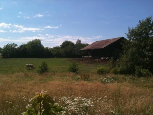 Grange in the prairie