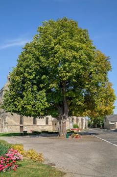 Place de la Mairie Saint-Christophe-à-Berry