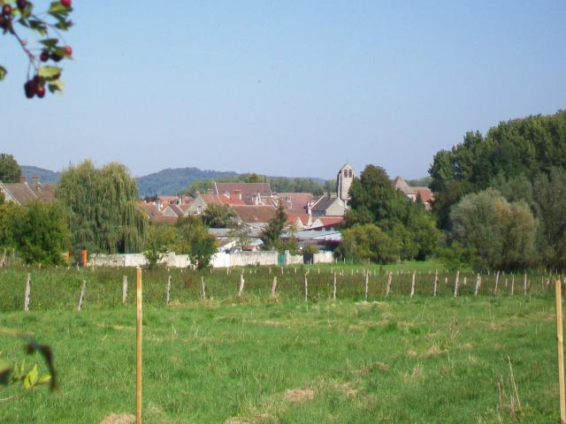 Vue sur la ville depuis Saint-Vaast-de-Longmont, au sud.