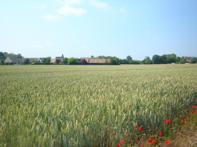Levignen
