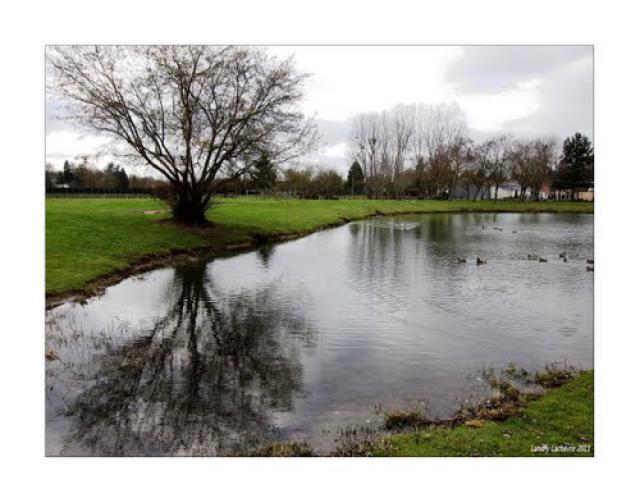 Reflets sur Breteuil.