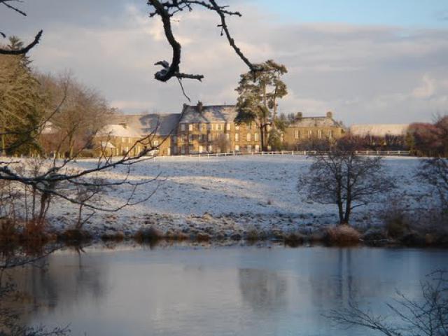 Le Champ-de-la-Pierre, Parc, Etang