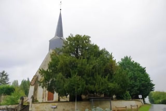 Église Saint Godegrand de Saint Fulgent des Ormes