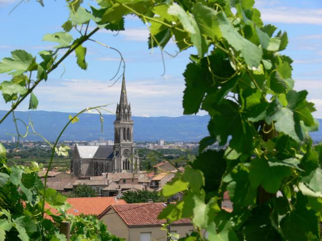 vue de l'Église de Cornas (Ardèche, France) à travers le vignoble