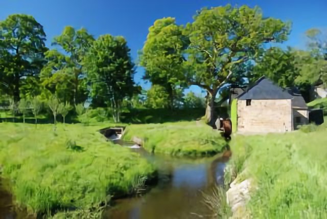 Le moulin de la Motte