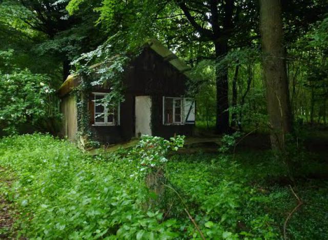 Bouvelinghem dans le Bois de l'Edamont