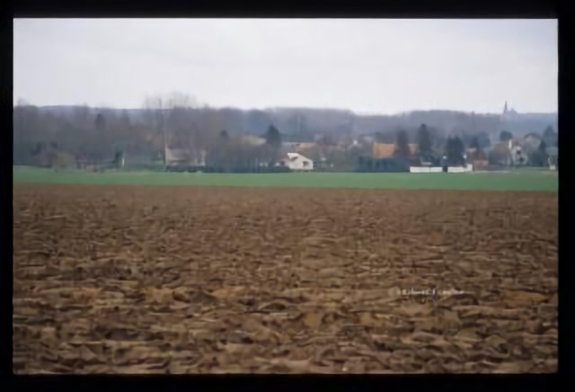 Rumaucourt, les champs