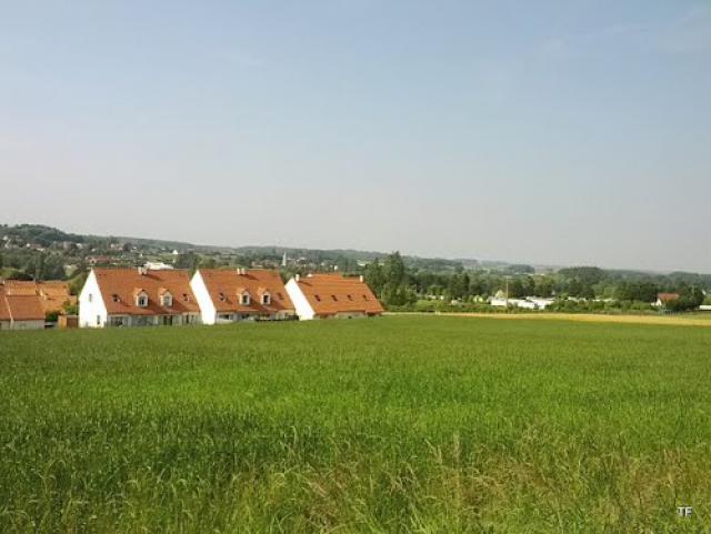Champs autour de Tournehem-sur-la-Hem