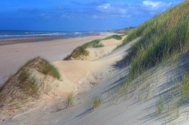 Les dunes au sud du Touquet
