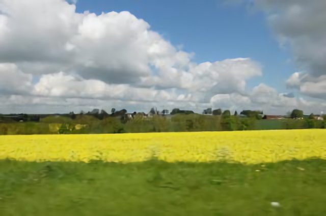 Koolzaadveld onderweg langs de Somme (Trudi)
