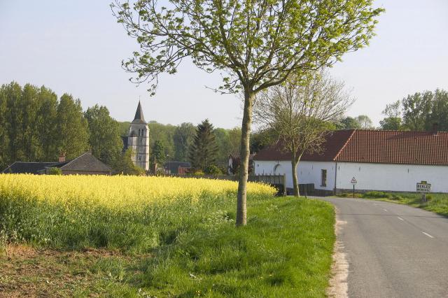 Colza à Berles Monchel
