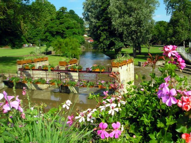 fleurs a chatillon