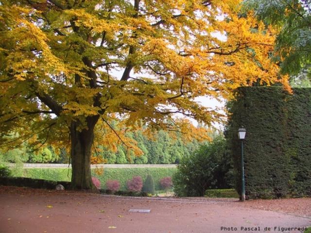 © dFP - Le jardin public de Saint-Omer
