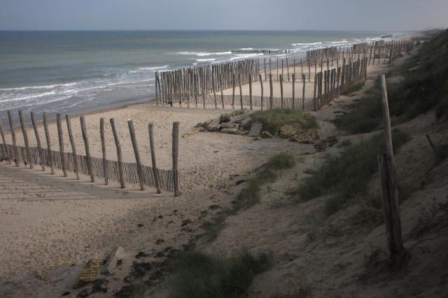 Épis et casiers à sable sur la plage.