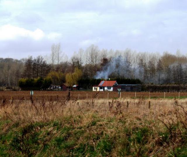 Smoke signals