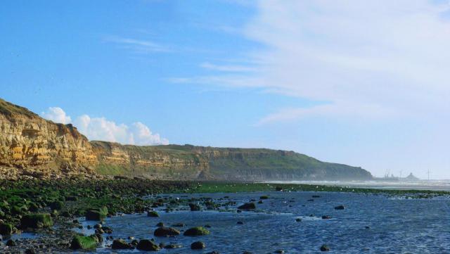 Pointe de la crèche, Wimereux (Pas-de-Calais) http://aascalys.free.fr