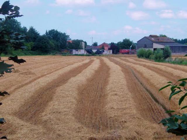 Fouquereuil, Chemin du marais