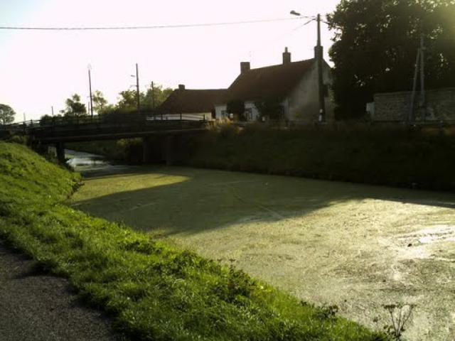 Mannequebeurre