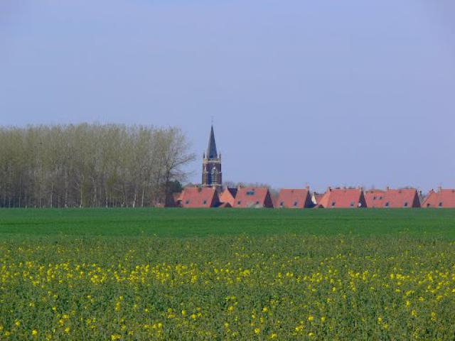 champs de provin