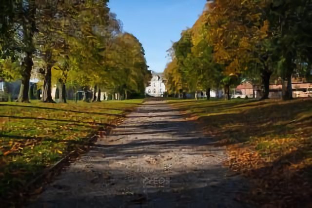 Allée du Château d'Habarcq