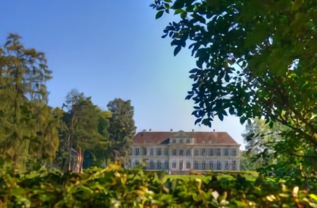 Le château de Brias