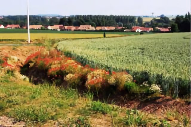 Landscape near Arras