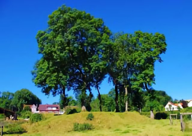 Motte castrale (féodale) de Parenty.