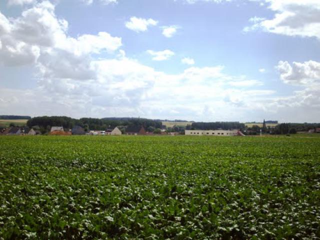 Roeux vue des champs